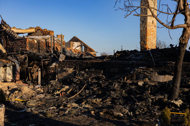 Reliable Board Up Services contractor in Bonita Springs, FL by Fire Damage Doption